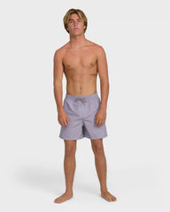 All Day Laybacks 16" Trunks - Purple Ash