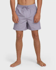 All Day Laybacks 16" Trunks - Purple Ash